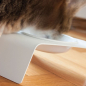 Mobile Preview: DELI Katzen Futter- oder Wassernapf weiss